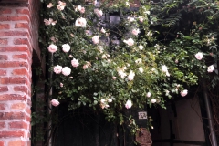 Roses voorhuis