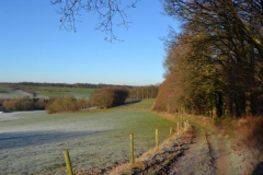 Omgeving