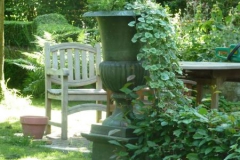 Tuin