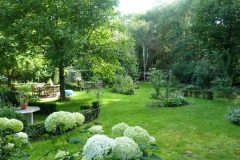 Tuin met veel schaduw en veel zon