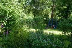 Tuin