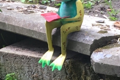 Kikkertje in de tuin